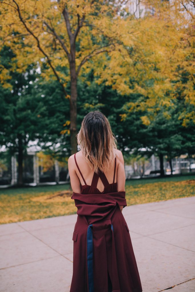 Chicago Fashion Blogger and Chiffon Pleated Dress
