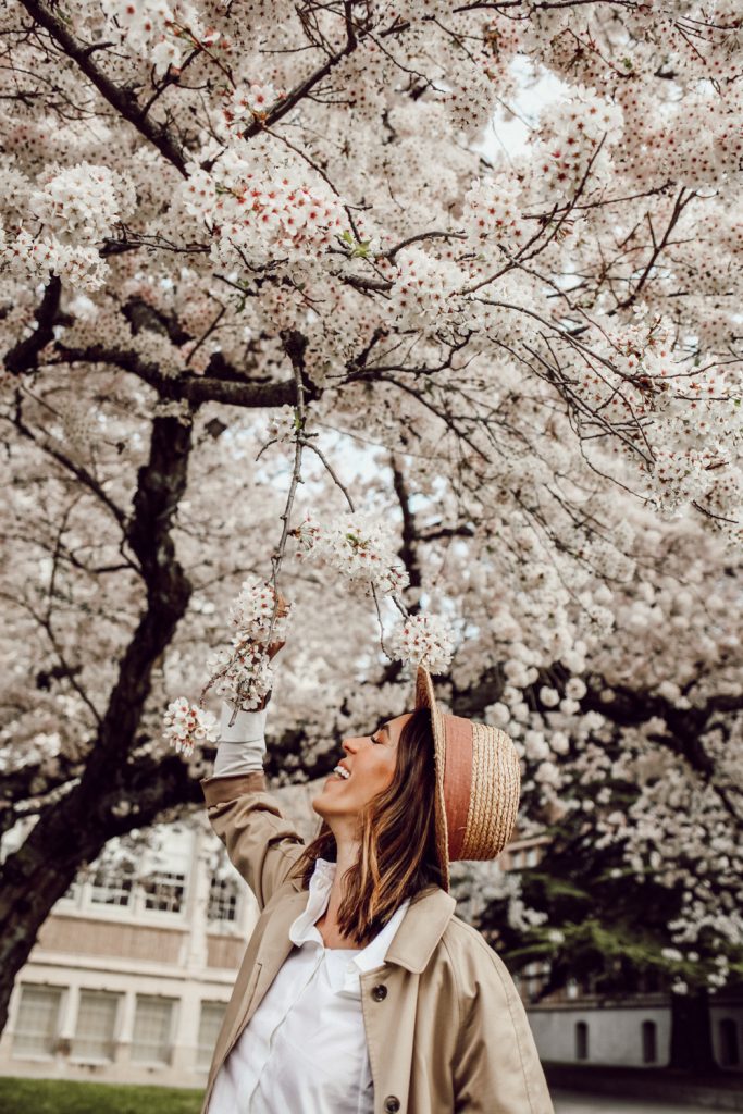 Seattle Fashion Blogger Sportsanista at the University of Washington Cherry Blossums